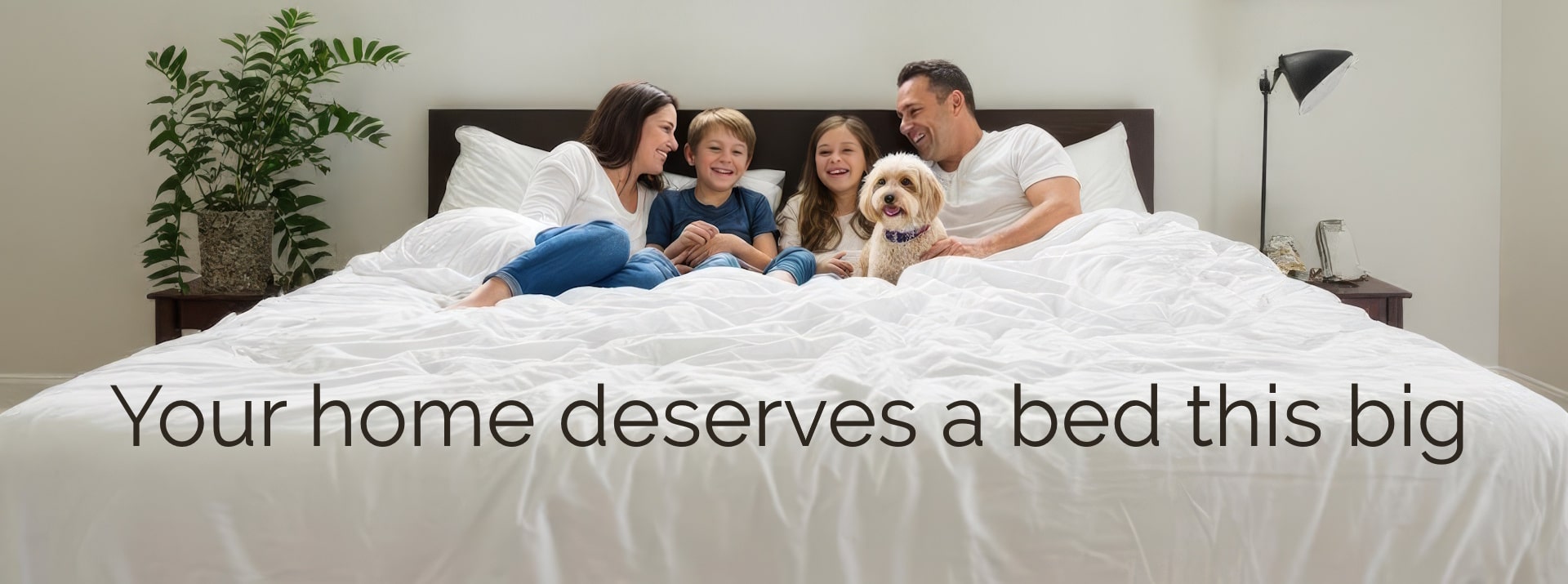 Your Home Deserves a Bed This Big.